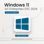 Windows 11 IoT Enterprise LTSC 2024 | 20 PCs for lifetime | Digital License | SAME DAY DELIVERY