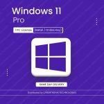 Microsoft Windows 11 Pro | 1 PC License (Retail / Online Key) | Digital License | SAME DAY DELIVERY