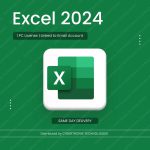 Microsoft Excel 2024 | 1PC Linked to Email Account | Windows | Digital License | Same Day Delivery