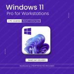 Microsoft Windows 11 Pro for Workstations | 2 PC License (Retail / Online Key) | Digital License | SAME DAY DELIVERY